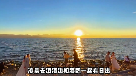 这辈子一定要去大理感受一下有风的地方跟着仙女姐姐去有风的地方