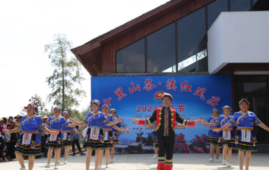 洛党镇石洞寺景区迎来2023年“十里山茶.滇红凤庆”茶花节开门红