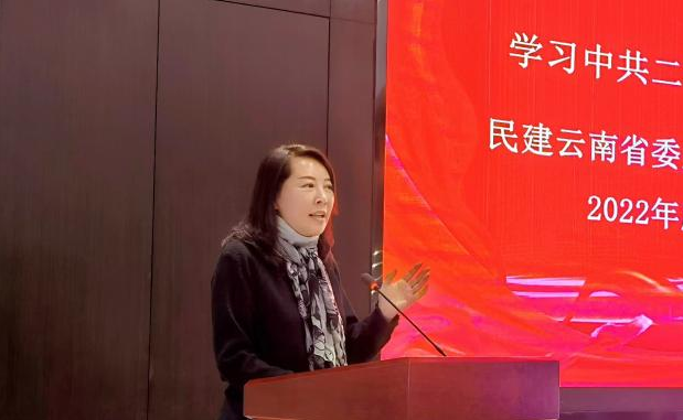 民建云南省委直属国际经贸基层委举行2022年度总结暨表彰大会