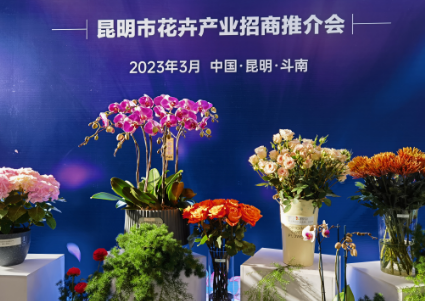 昆明市举办2023年“春城飞花”花卉产业招商推介会