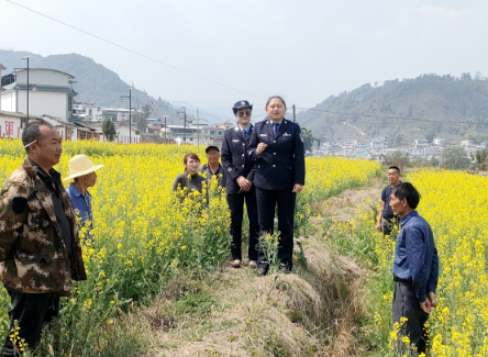 勐佑镇：以“五坚持”“五建设” 提升政府效能