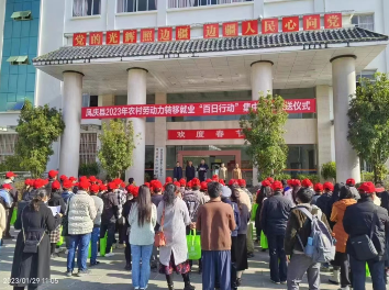 凤山镇：多措并举助推农村劳动力转移就业