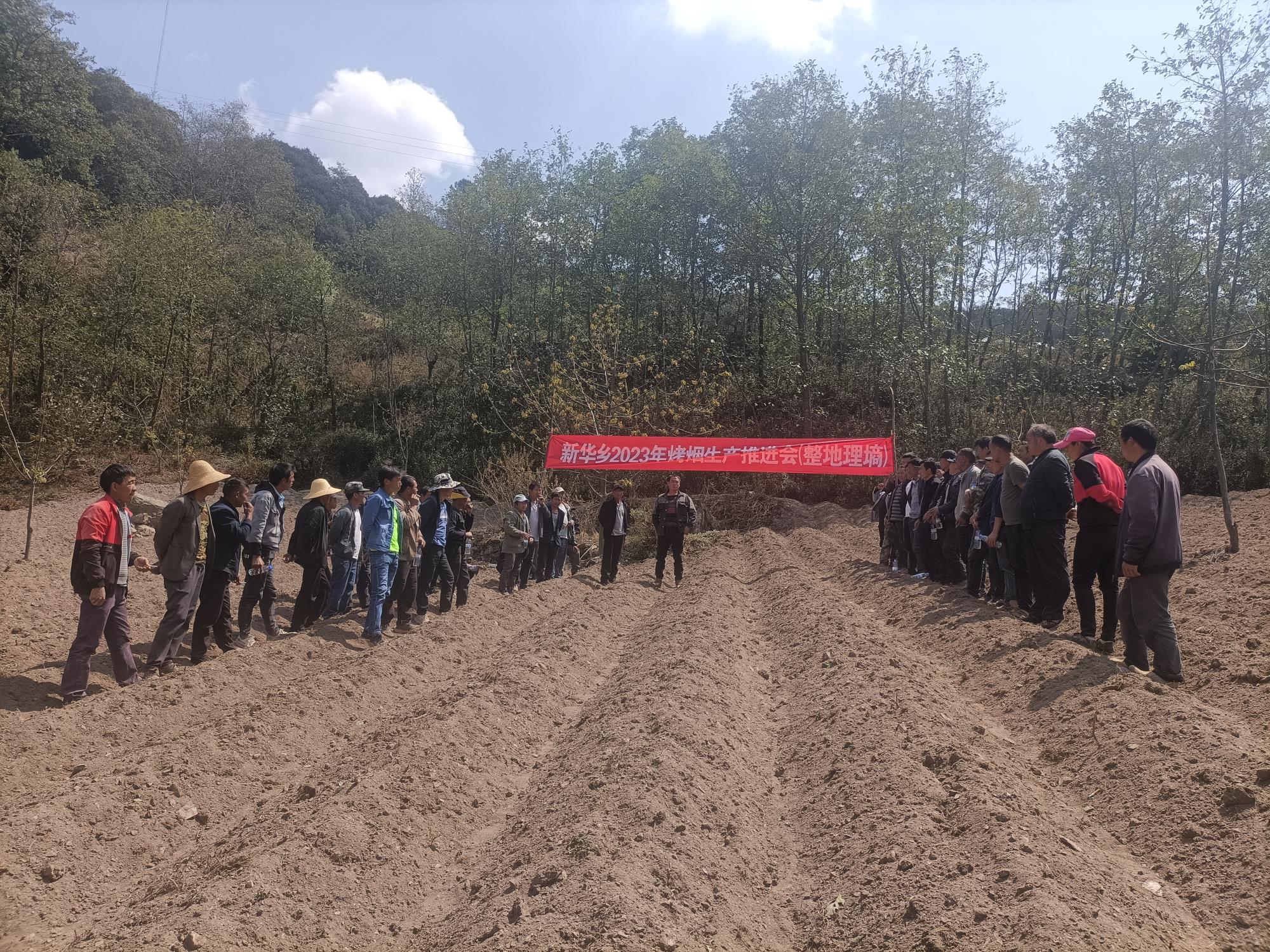 临沧凤庆新华乡：烤烟生产工作稳步推进