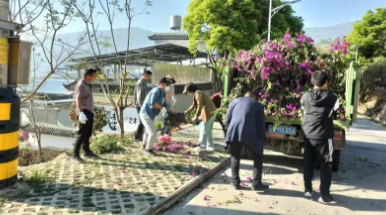 小湾镇：以治促绿绘就毓秀新画卷