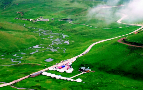 云南省林业和草原局启动“林地要素保障”“违法违规用林整治”两个百日攻坚行动