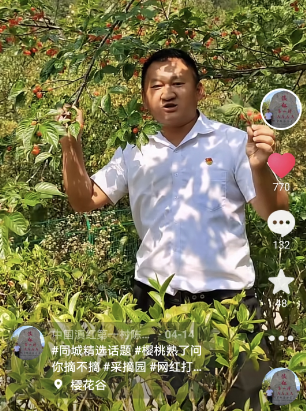 安石村：村干部化身抖音主播 助力樱桃销售