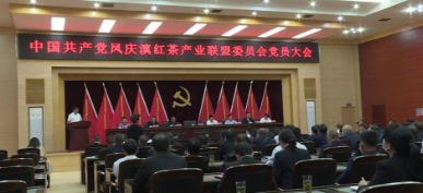 云南凤庆：党建引领托起小茶叶振兴梦