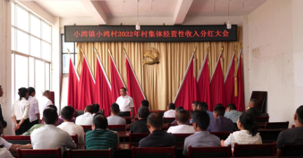 小湾镇小湾村：集体经济结硕果 村民分红笑开颜