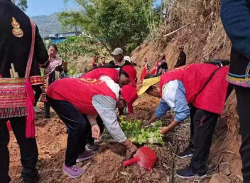 双江：银发助农献余热  志愿服务到田间