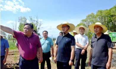 陈真永到大理市调研洱海湖泊生态修复等项目时强调 着眼全局抓治理 攻坚克难重落实