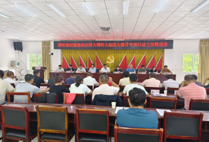 创新举措  谋划思路   助推村集体经济工作再上新台阶 ——勐佑镇召开村级集体经济大调研大起底大提升 专项行动工作推进会