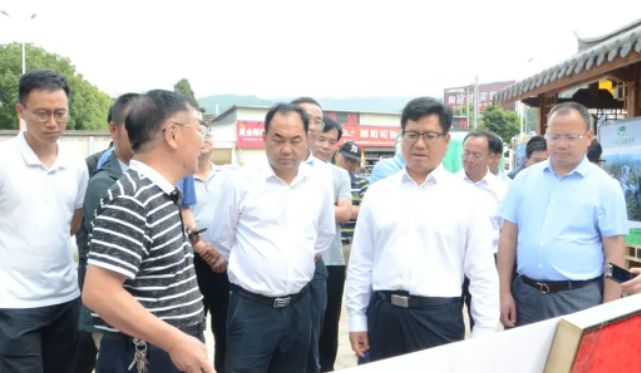 陈真永到大理市调研督导绿美大理建设时强调 坚持以绿色革命推进绿美大理建设