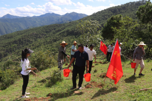 凤庆县新华乡：支部联建增活力 喜看荒山披绿装