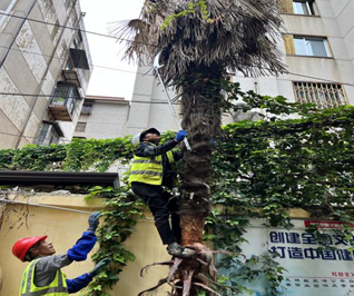 网格盘龙｜鼓楼街道交三桥社区“美化小区  排除隐患 ”