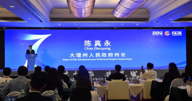 陈真永在世界500强及行业龙头企业投资云南洽谈会上推介大理