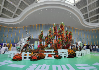 以花为媒 传递美好 第二十一届中国昆明国际花卉展开幕