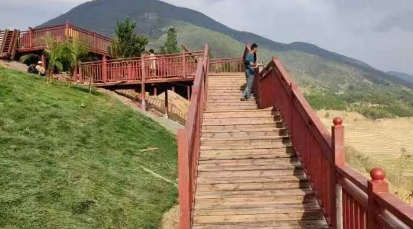 鲁史镇：沪滇共筑产业路 千亩果林助增收