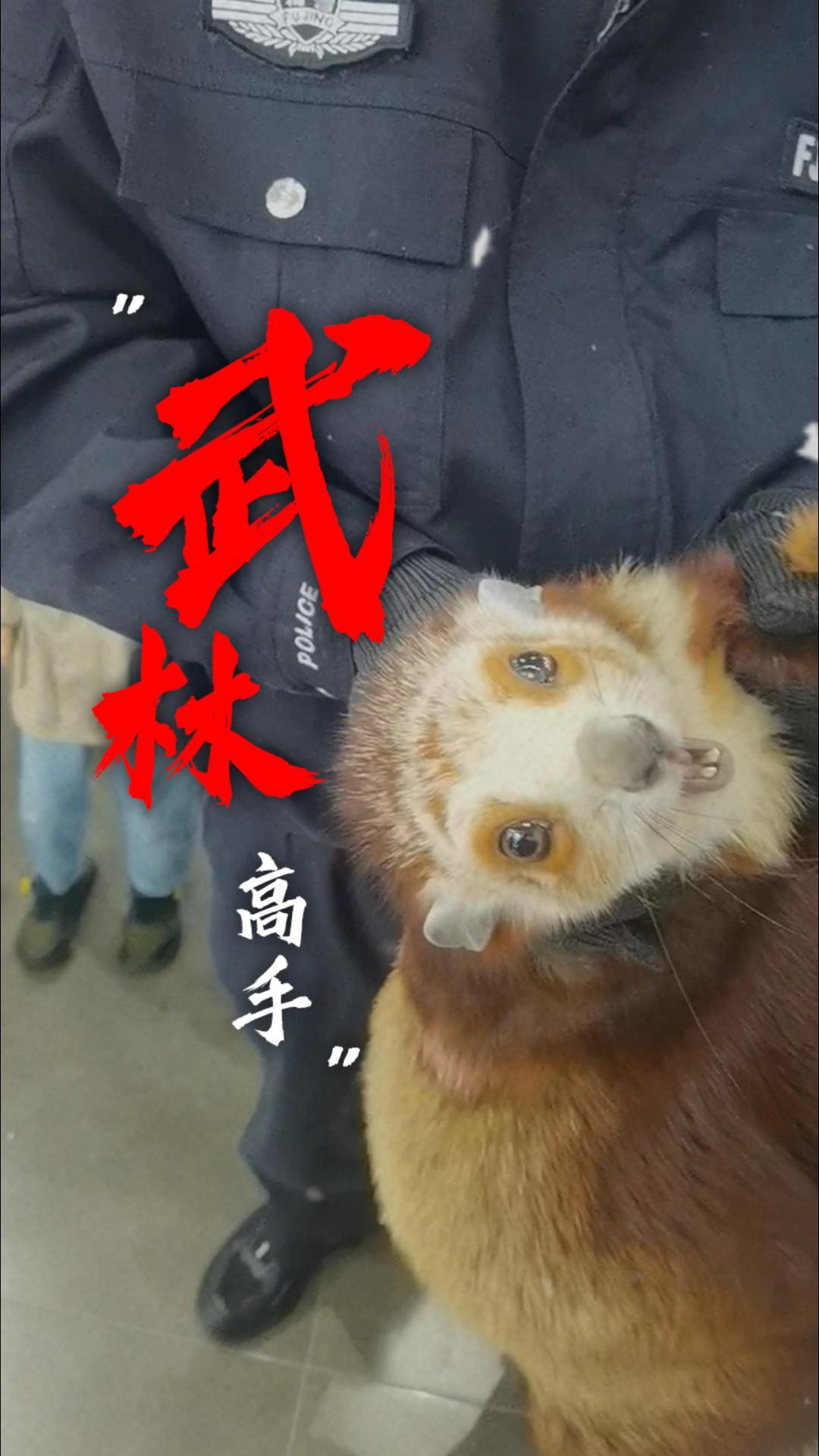 店内惊现“武林高手”！被蜀黍“一招制敌”！