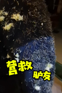 驴友进山迷路 民警暖心救援