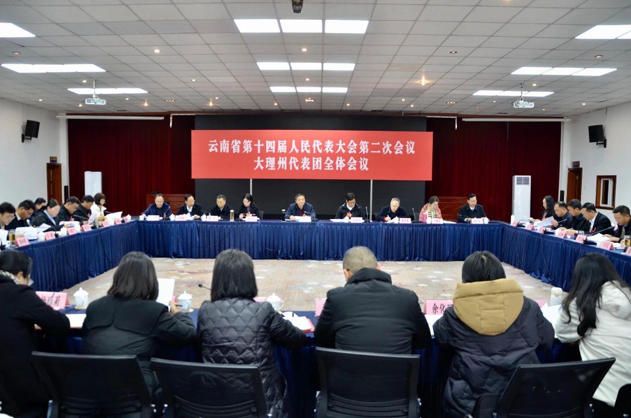 云南省十四届人大二次会议大理代表团举行全体会议