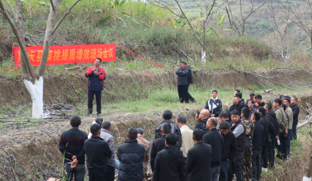 凤庆县召开全县核桃提质增效工作现场会