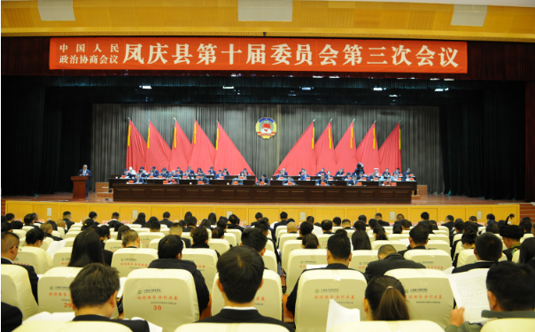 凤庆县：95件提案经审查立案