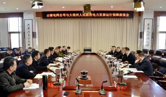 大理州与云南电网公司举行电力发展运行保障工作座谈 陈真永出席并讲话