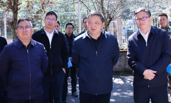杨国宗在漾濞县开展巡林并调研创优提质促发展工作时强调 以各领域各行业工作创优提质推动经济社会高质量发展