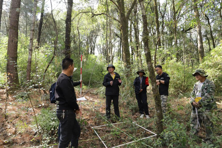 州市科技 | 大理州“鸡足山生物多样性本底调查”基础研究专项重大项目启动