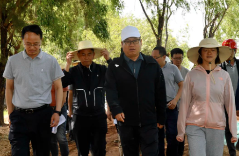 陈真永到大理经开区检查督导洱海沿湖绿美建设等工作时强调 推进绿色革命 建设绿美大理 创建美丽中国先行区
