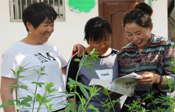 云南祥云县大波那村10余年间出书10册