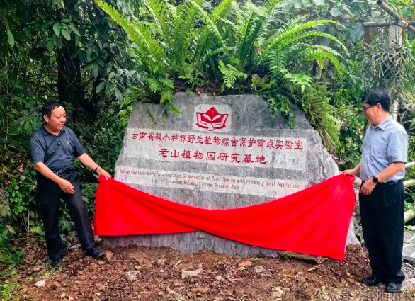 云南省极小种群野生植物综合保护重点实验室在麻栗坡老山植物园合作回归兰科极小种群野生植物