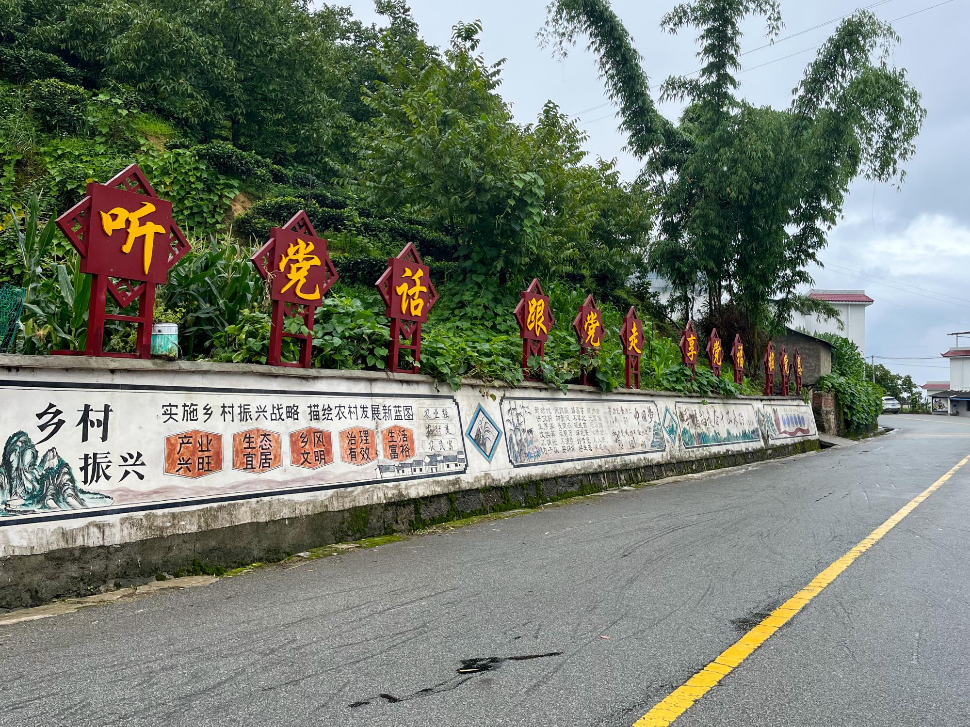 大寺乡：推进人居环境整治 筑牢美丽乡村根基