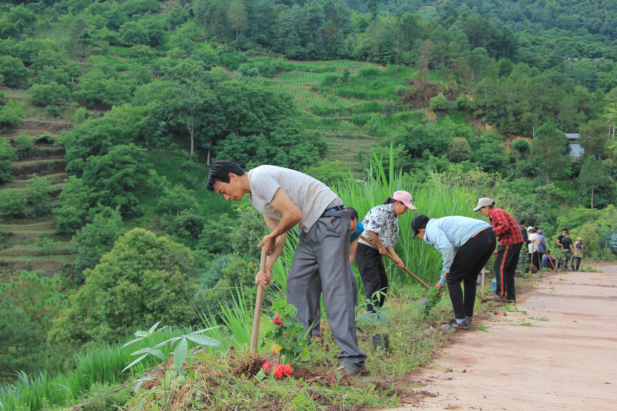 凤庆诗礼乐平村：党群齐心扮靓村庄颜值