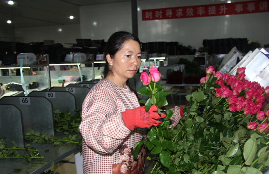 云南祥云县借助劳务协作平台拓宽渠道
