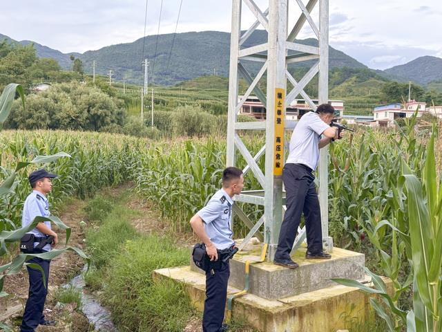 “疯牛”失控乱窜，民警果断处置除隐患