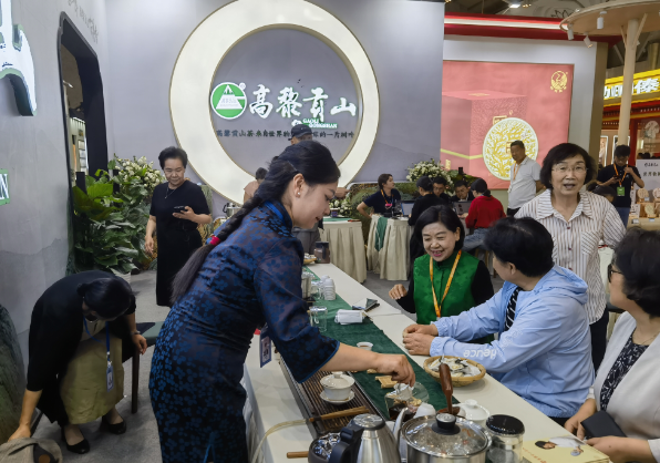 40年！高黎贡山茶飘香