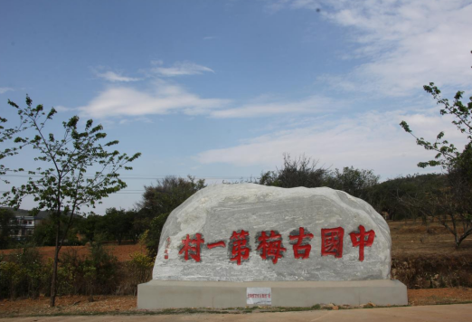 祥云东山彝族乡：让山川披绿林海生金